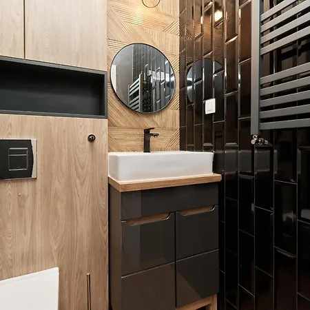 Apartment City Center Saint Anthony By Renters