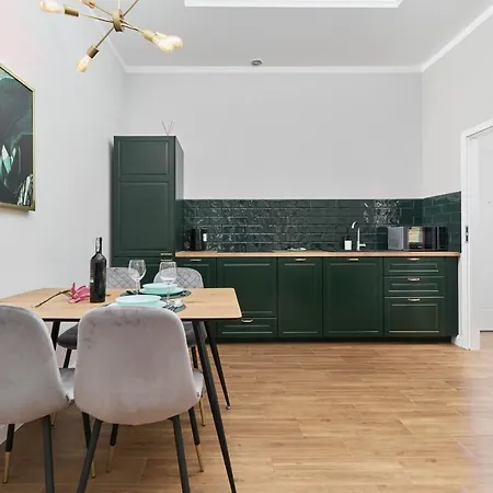 Apartment City Center Saint Anthony By Renters