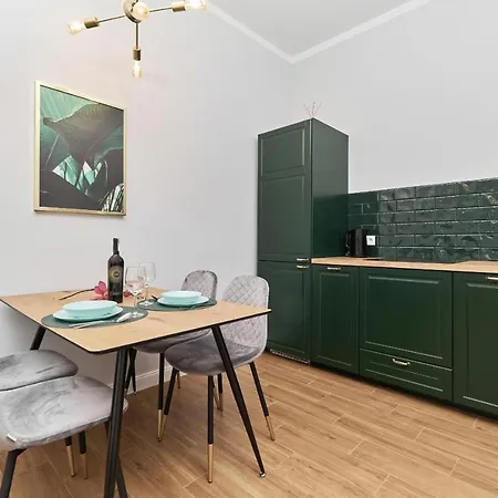 City Center Saint Anthony By Renters Apartment